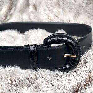 Black Leather Belt Gold Accent Round Snake Print Buckle Leather Shop Size M